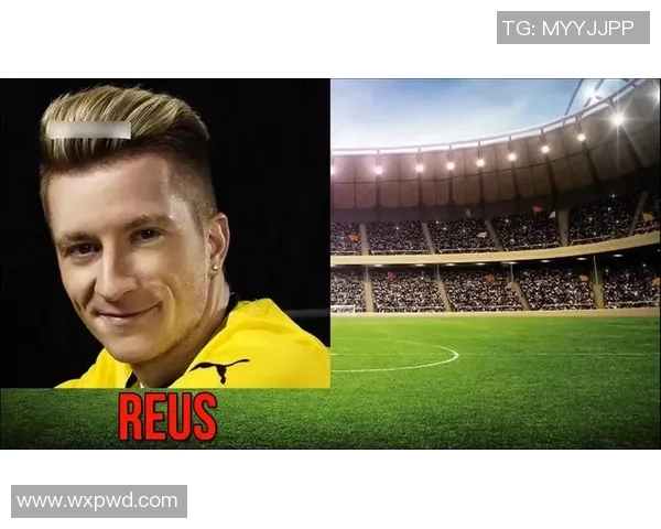 撞伤动物的足球明星背后故事与争议引发广泛关注