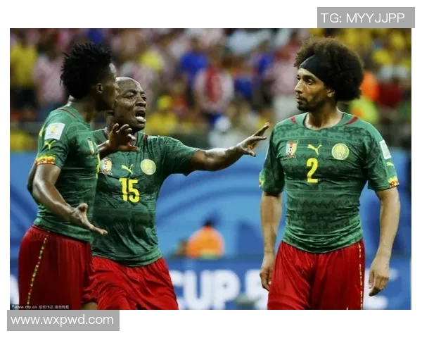 非洲雄狮马里足球球星拼搏传奇闪耀绿茵场